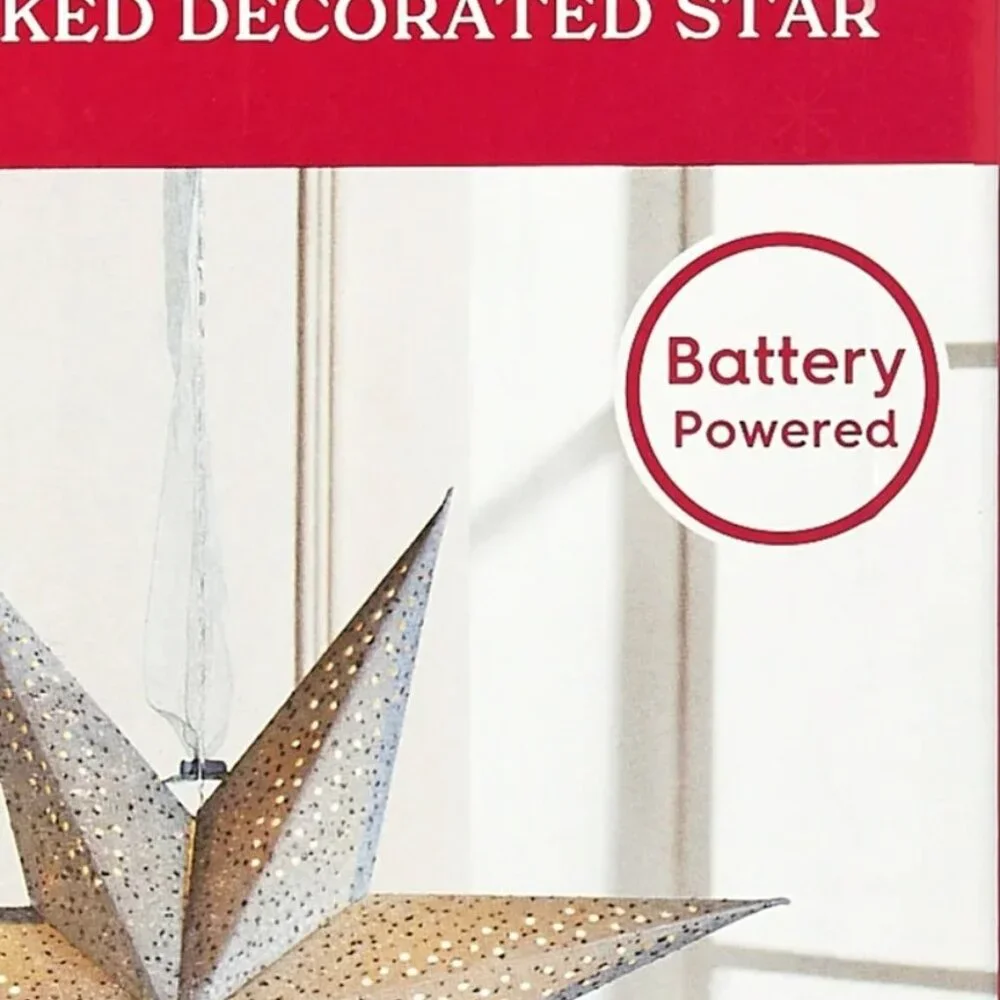 NEW Light Up Battery Operated Flocked Star Christmas Hanging Decoration Decor Ho